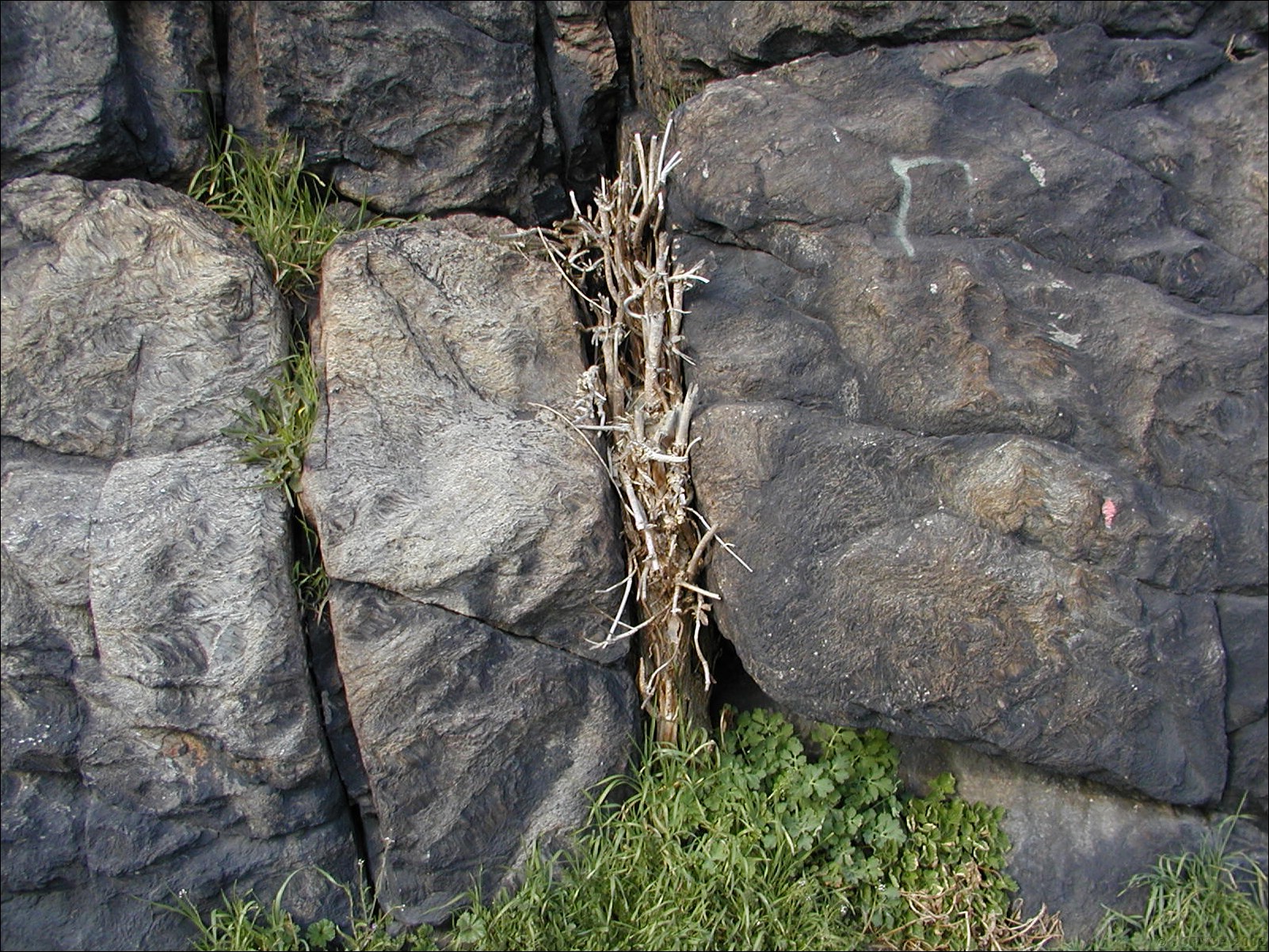 P4060014.JPG