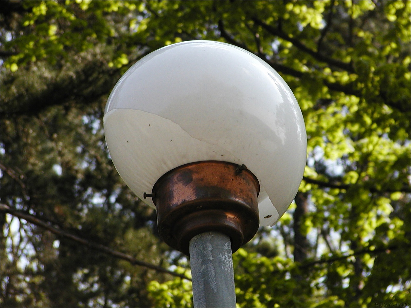 P5080432.JPG