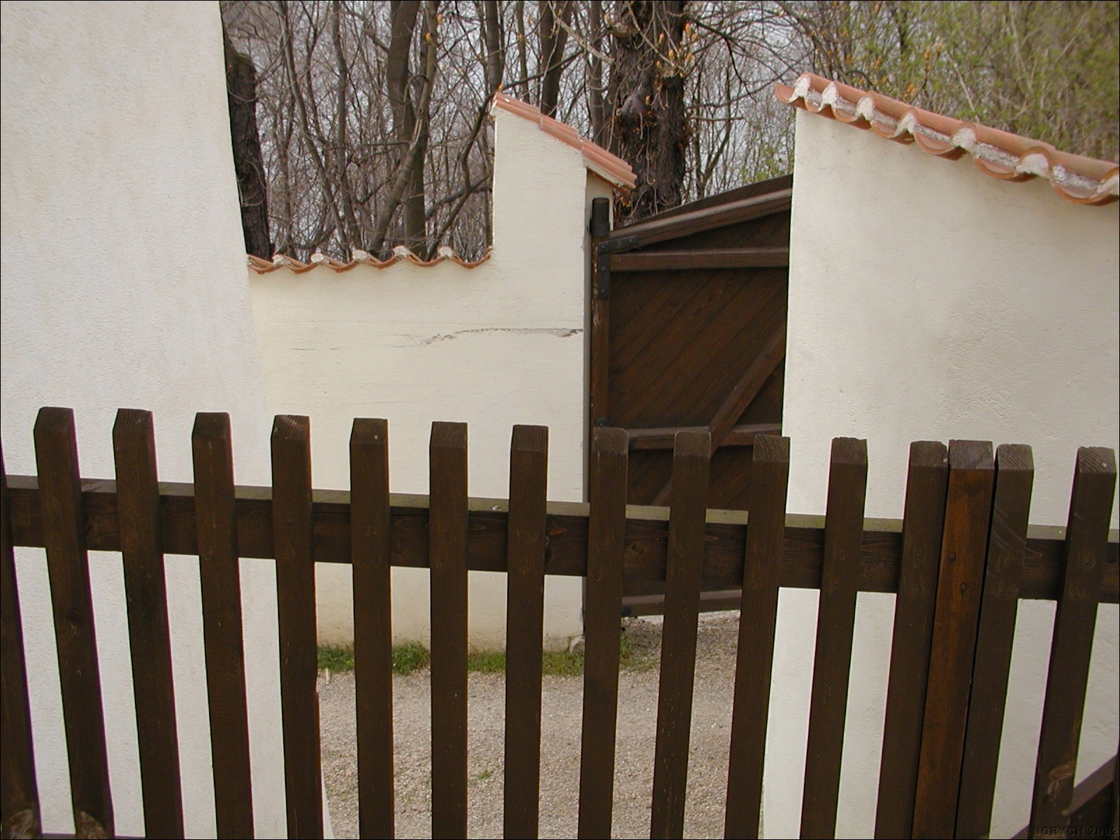 PIC00012.JPG