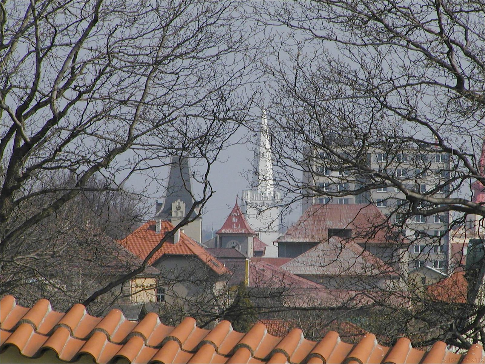 PIC00015_2.JPG
