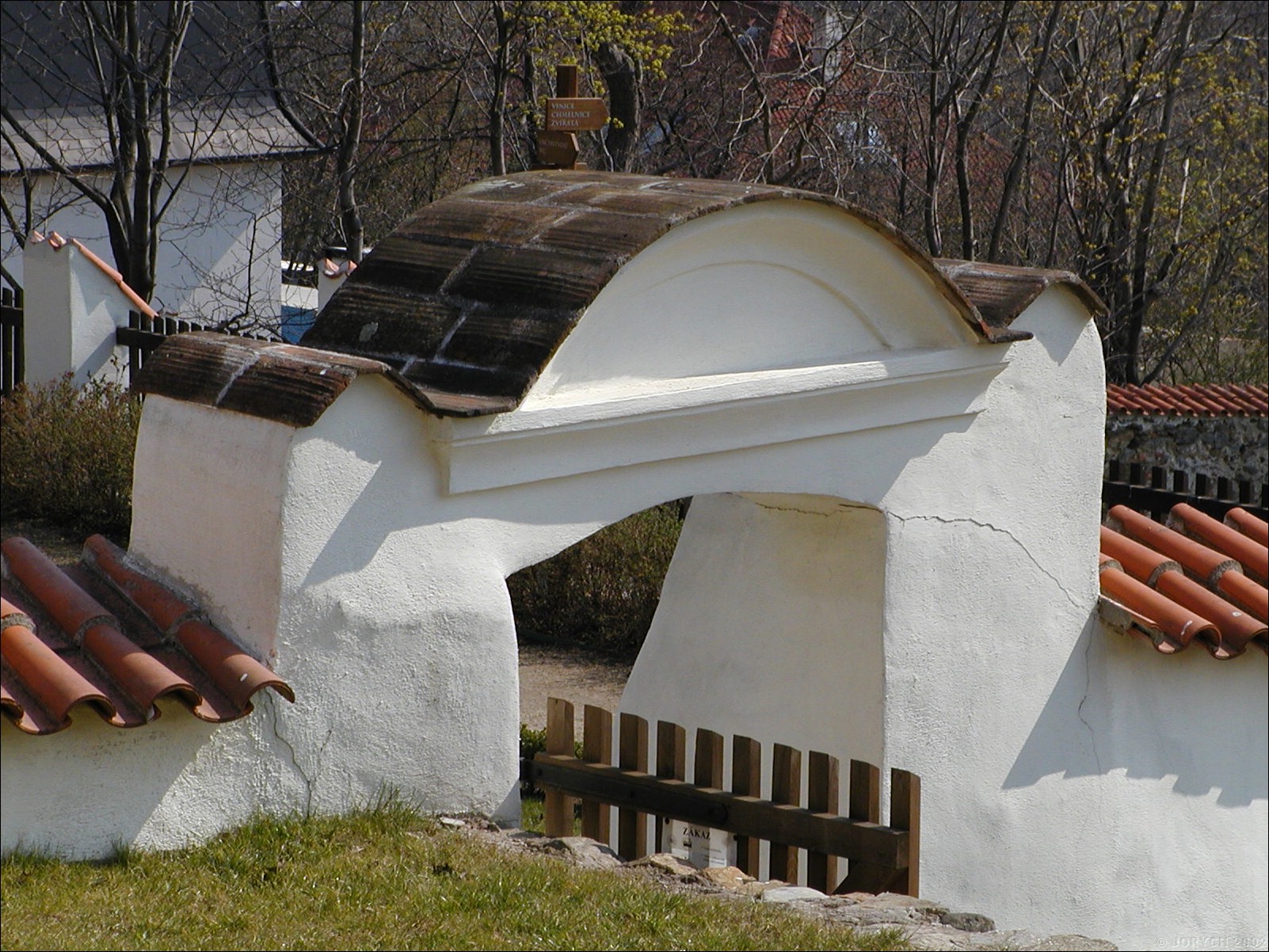 PIC00016_2.JPG