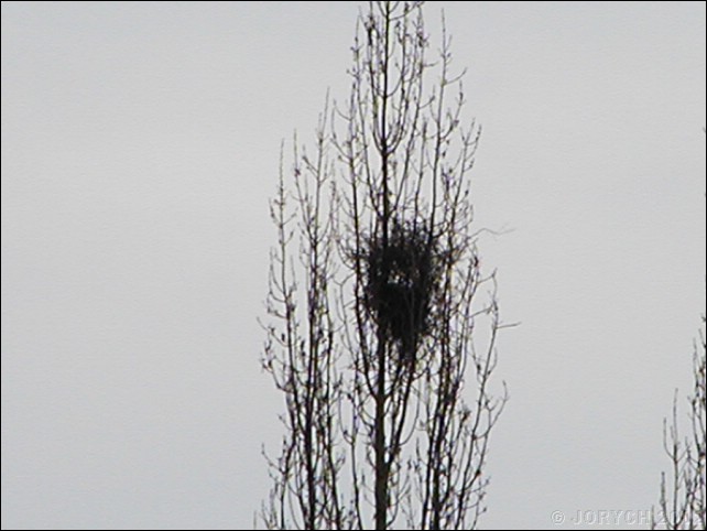 PIC00042.JPG