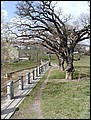 P4070041.JPG