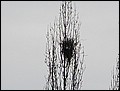 P4170009.JPG