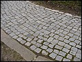 P4180057.JPG