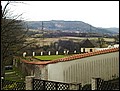 P4180079.JPG