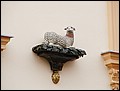 P4220103.JPG