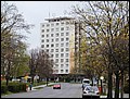 P4220106.JPG