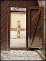 P4220121.JPG