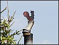 P5080443.JPG