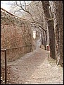 PIC00018.JPG