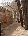 PIC00019.JPG