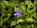 P5050290.JPG