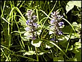 P5080445.JPG